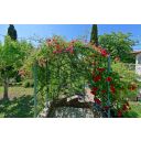 original_1680849007_kroatien-istrien-immobilien-verkauf-2.jpg