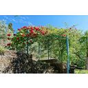 original_1680849015_kroatien-istrien-immobilien-verkauf-3.jpg
