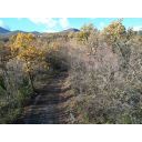 original_1701989684_dji_0597.jpg