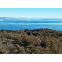 original_1701989786_dji_0615.jpg