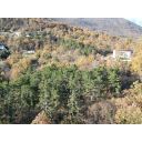 original_1701989819_dji_0621.jpg