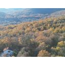 original_1701989852_dji_0625.jpg