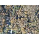 original_1701989922_dji_0638.jpg