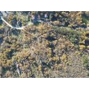 original_1701989936_dji_0640.jpg