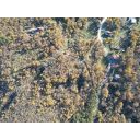 original_1701989941_dji_0641.jpg