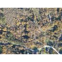 original_1701989948_dji_0642.jpg