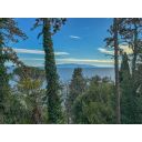 original_1707312969_dji_20240202_140757_893.jpg