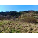 original_1713784098_photo_5850399173105532714_y.jpg