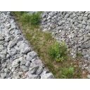 original_1717065075_img_6157.jpg