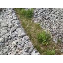 original_1717065078_img_6158.jpg