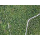 original_1727872062_dji_0182.jpg