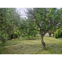 original_1748452124_istra-buje-samostojeca-kuca-panoramskog-pogleda-27.jpg