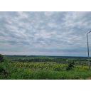original_1748452166_istra-buje-samostojeca-kuca-panoramskog-pogleda-37.jpg