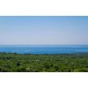 original_1770992203_croatia-istria-real-estate-for-sale-676.jpg