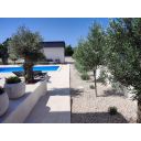 original_1687872990_img_20230627_153429.jpg