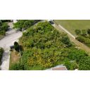original_1781702474_dji_fly_20260617_150358_457_1781701508733_photo_optimized.jpg
