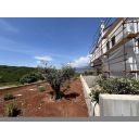 original_1780844219_img_9199.jpeg