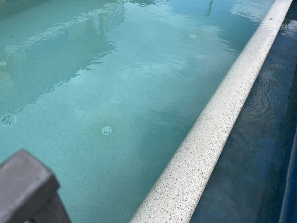 original_1649938161_image00027.jpeg