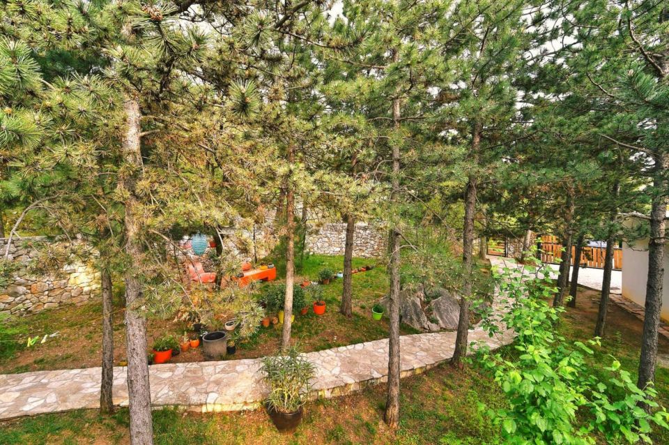 original_1658129015_viber_slika_2022-07-18_09-17-19-753.jpg