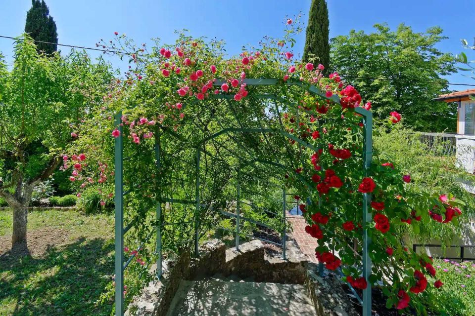 original_1680849007_kroatien-istrien-immobilien-verkauf-2.jpg