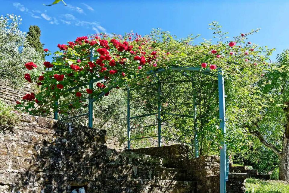 original_1680849015_kroatien-istrien-immobilien-verkauf-3.jpg