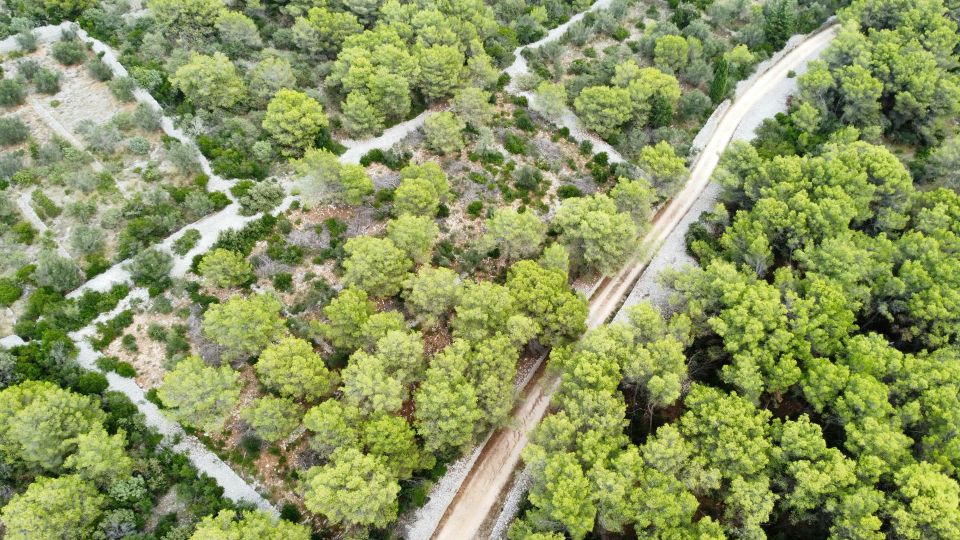 original_1692615936_dji_fly_20230819_150342_384_1692605376033_photo_optimized.jpg