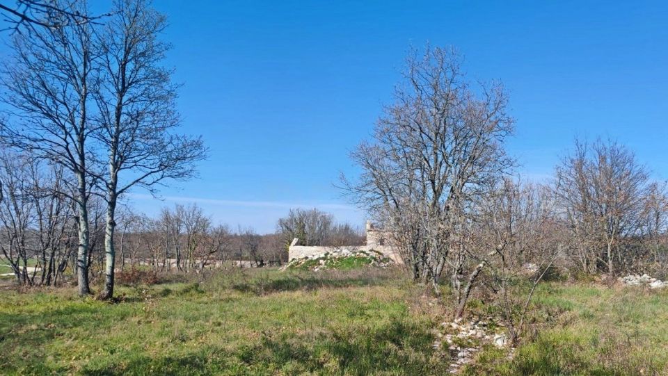original_1694079002_croatia-istria-real-estate-for-sale-7.jpg