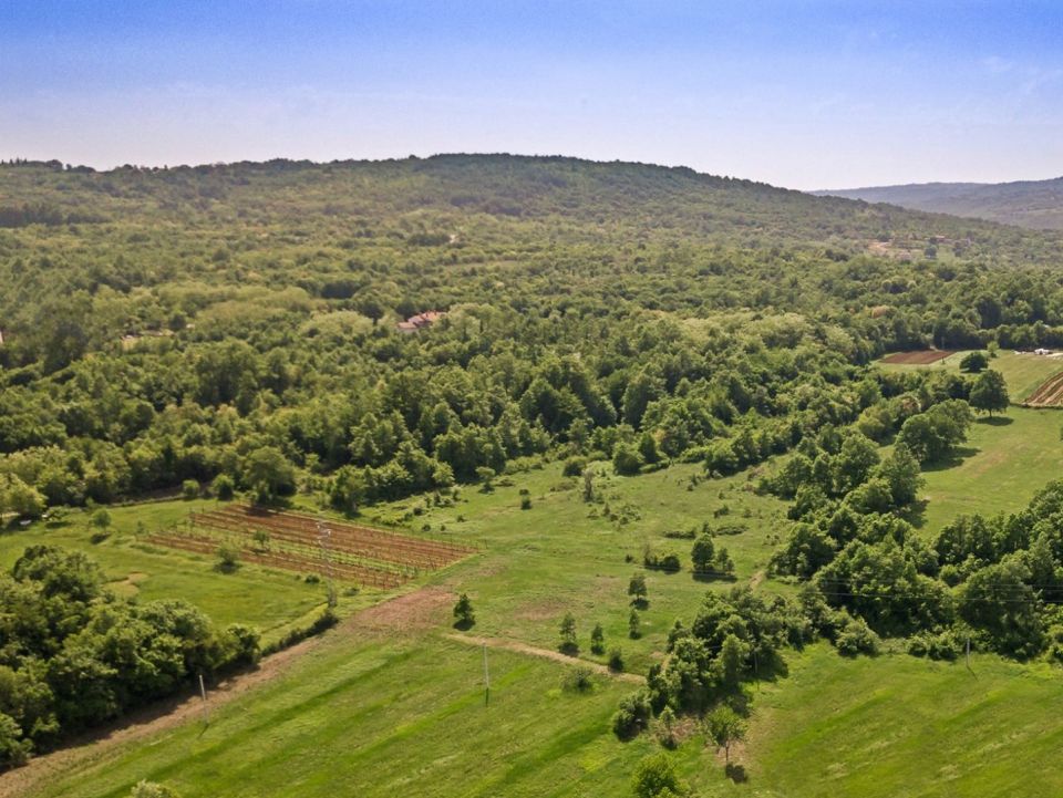 original_1694839586_croatia-istria-property-for-sale-3.jpg