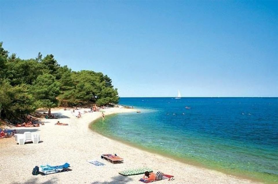 original_1700641343_istra-novigrad-more-plaze-blizina-mora.jpg