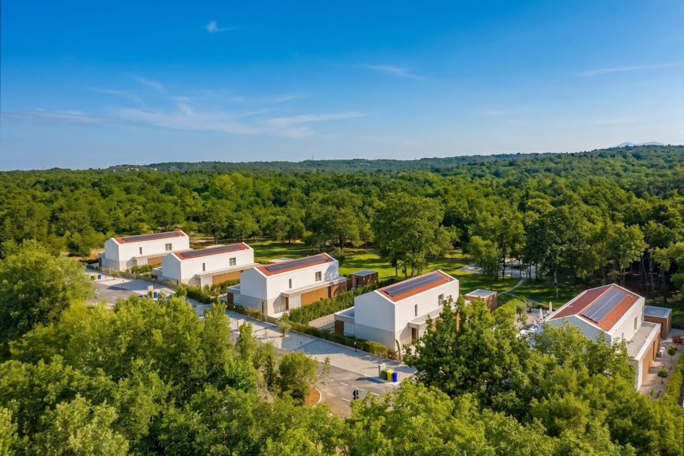 original_1782992067_dji_20260701113652_0262_d.jpg