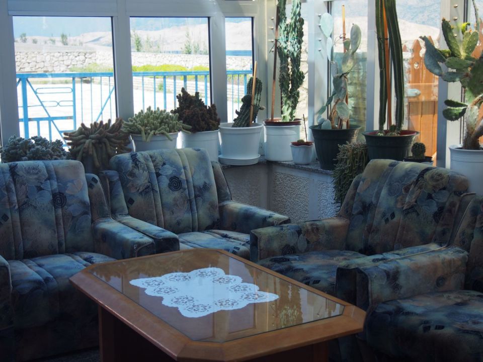 original_1685092549_p5010234.jpg