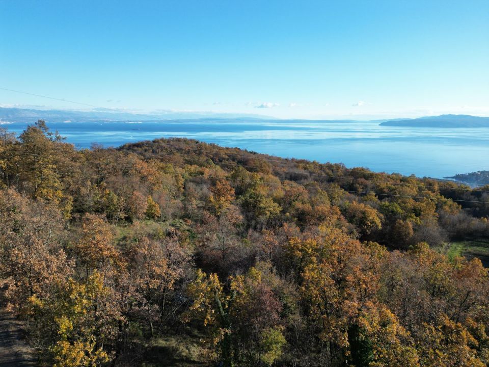 original_1701989709_dji_0600.jpg