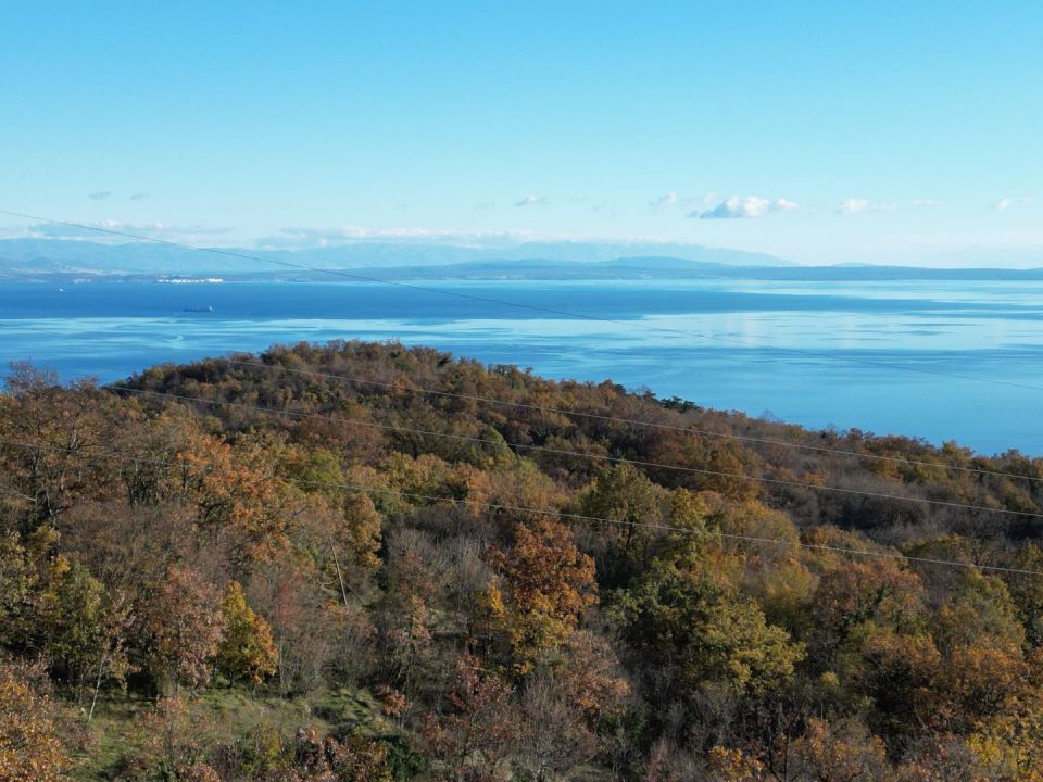 original_1701989739_dji_0607.jpg