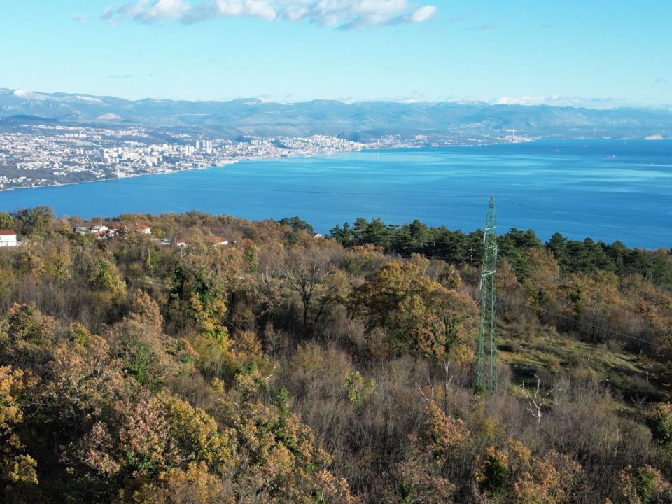 original_1701989796_dji_0617.jpg