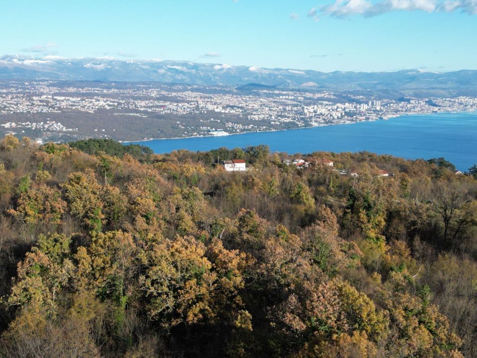 original_1701989802_dji_0618.jpg