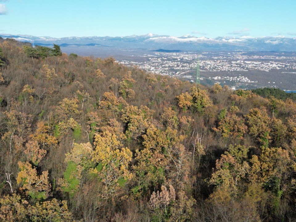 original_1701989807_dji_0619.jpg
