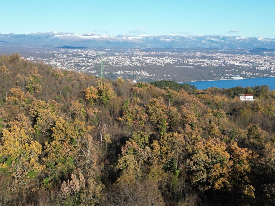 original_1701989813_dji_0620.jpg