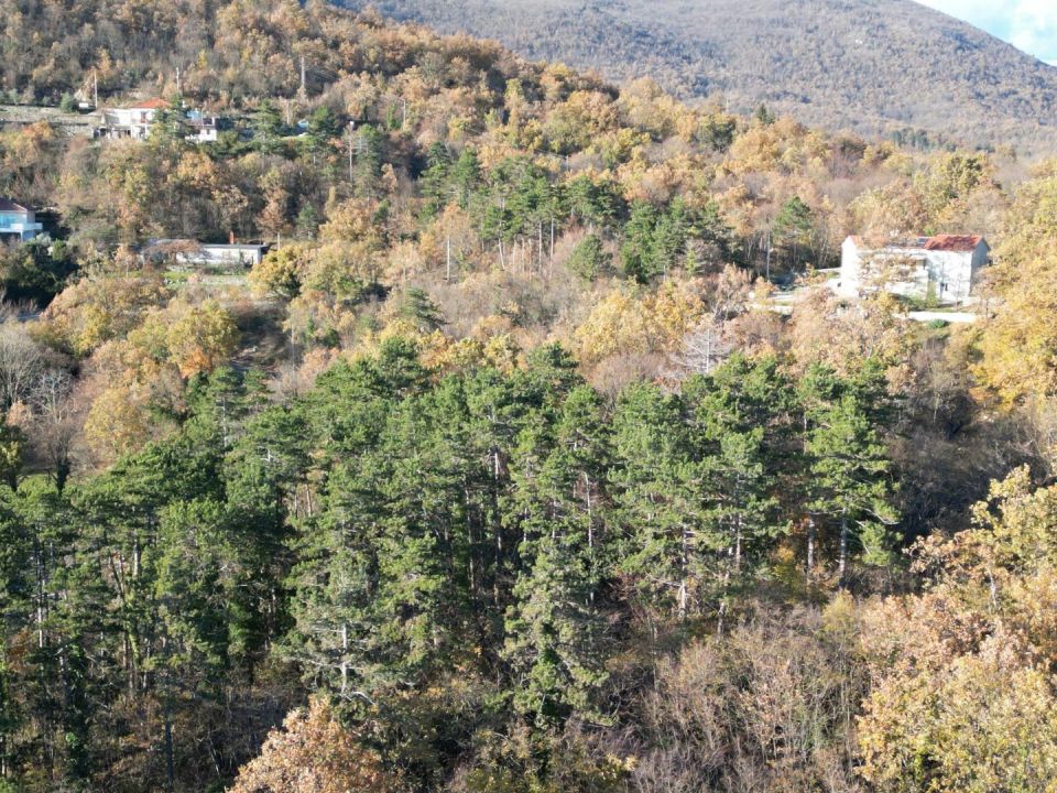 original_1701989819_dji_0621.jpg