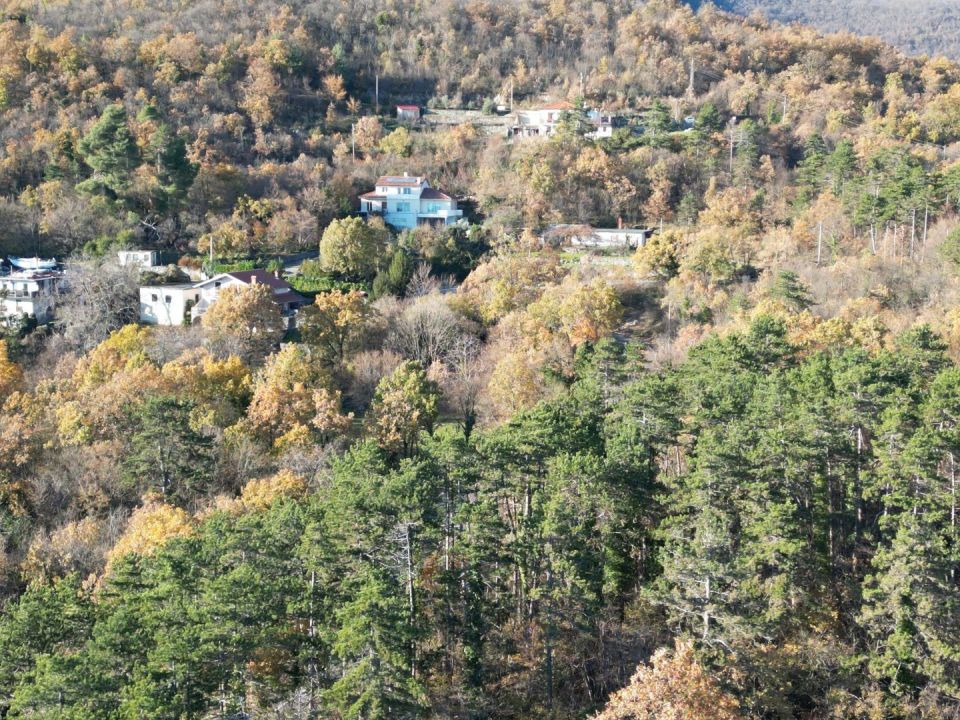 original_1701989825_dji_0622.jpg
