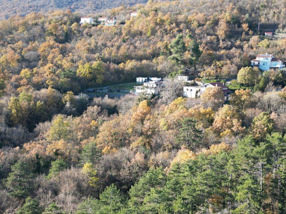 original_1701989830_dji_0623.jpg