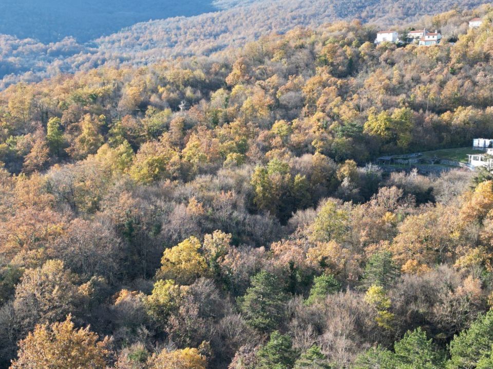 original_1701989845_dji_0624.jpg