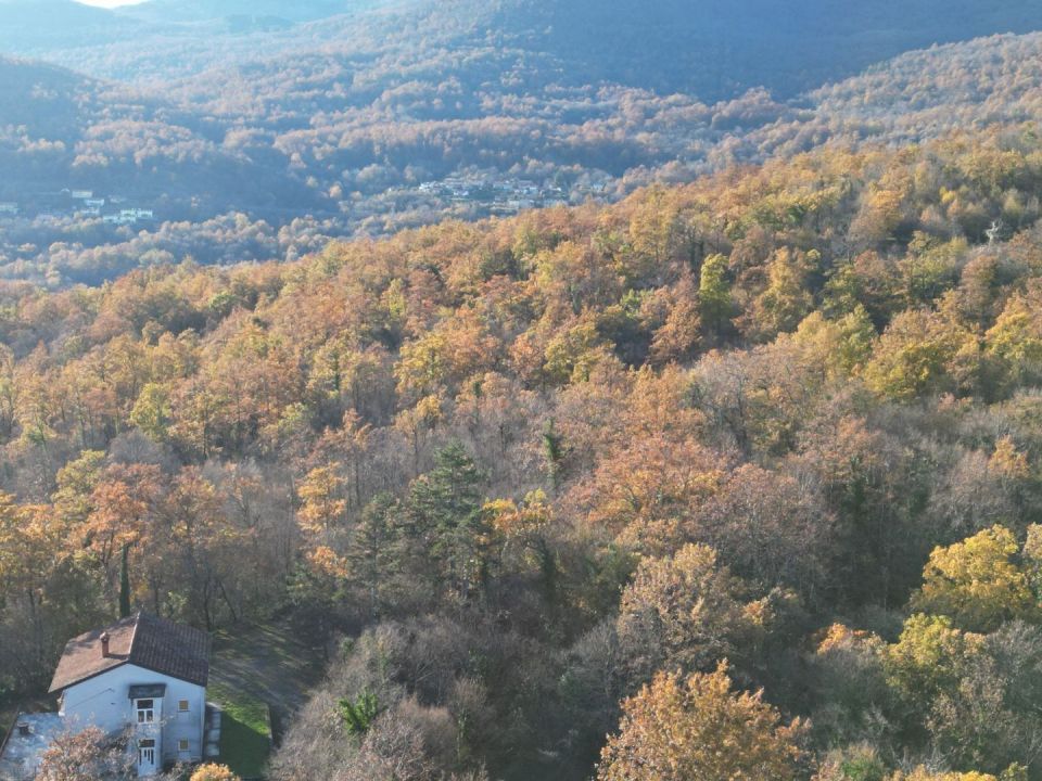 original_1701989852_dji_0625.jpg