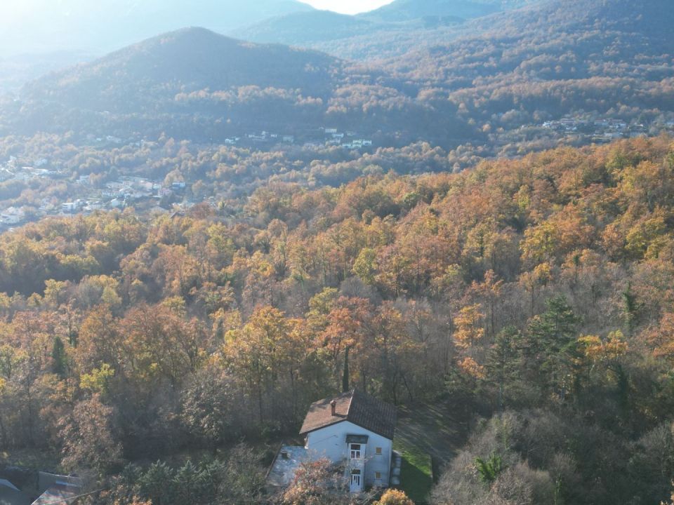 original_1701989857_dji_0626.jpg