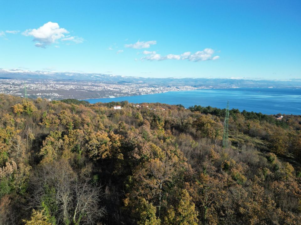 original_1701989891_dji_0633.jpg