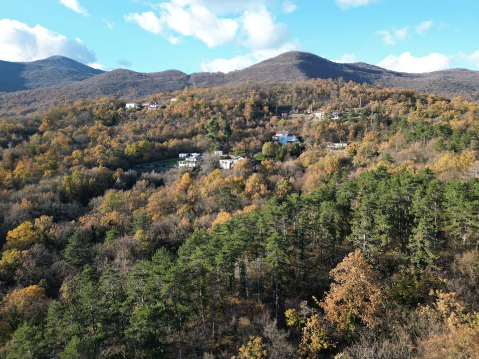 original_1701989909_dji_0636.jpg