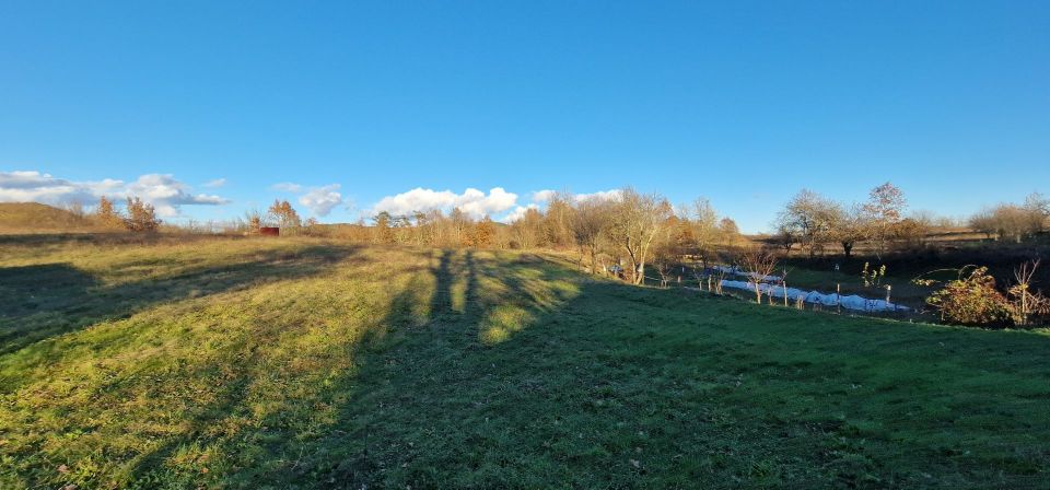 original_1702031285_20231207_152433.jpg