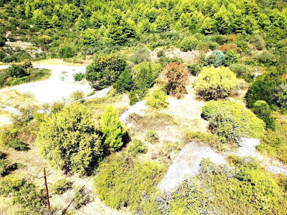 original_1705574942_dji_0152.jpg