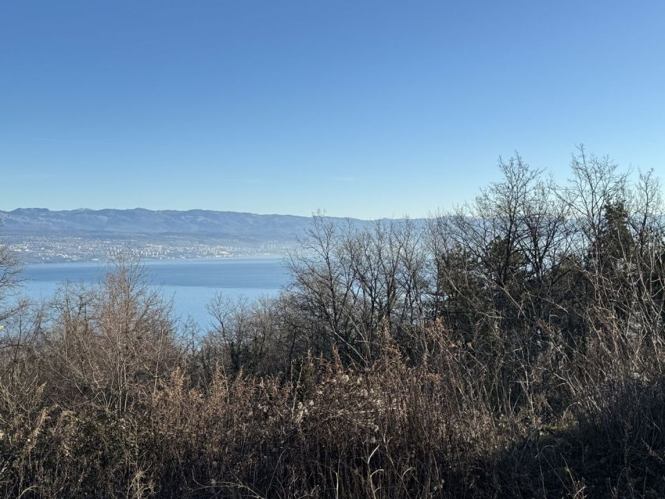 original_1706514596_img_7574.jpeg
