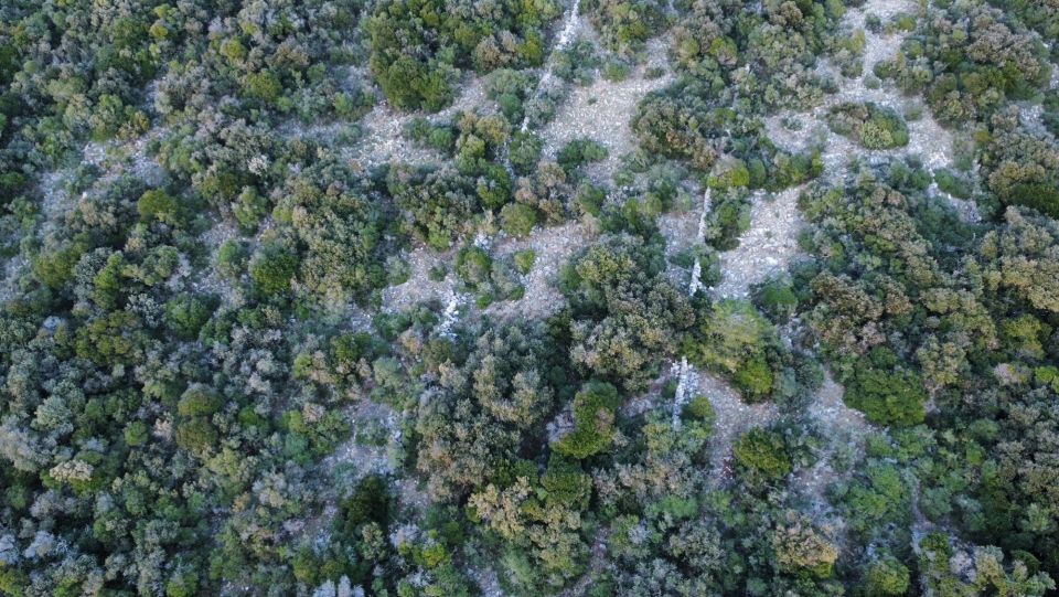 original_1712591394_dji_fly_20240217_171604_484_1708186605754_photo_optimized.jpg