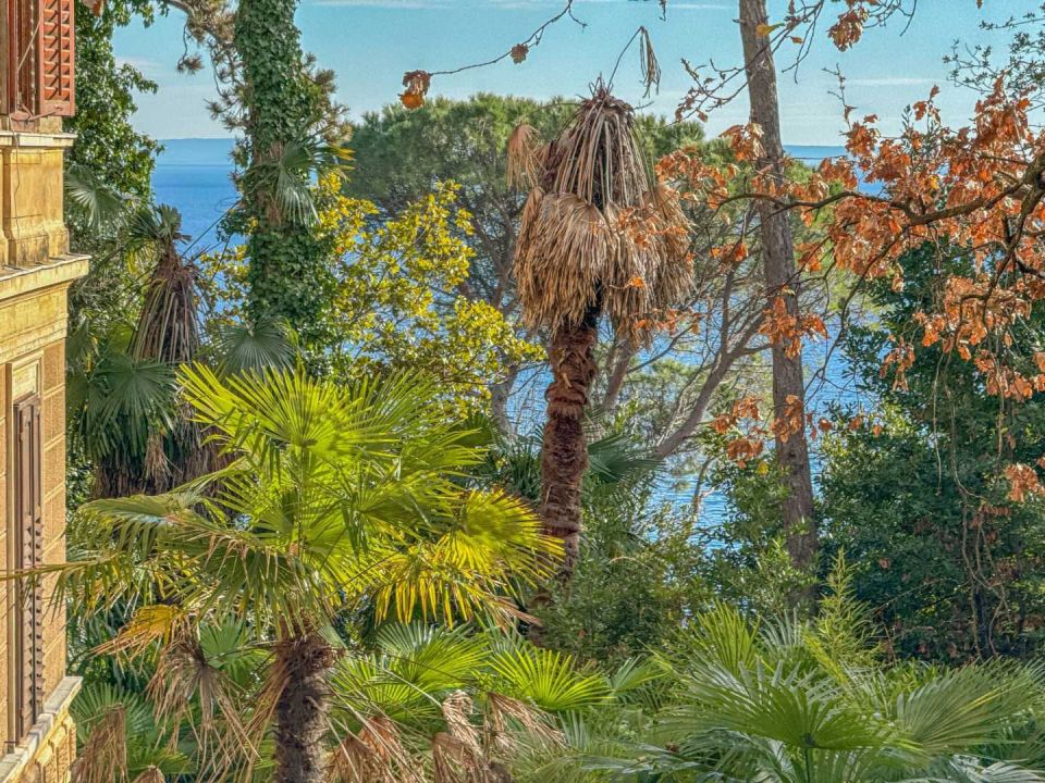 original_1707312830_dji_20240202_140424_993.jpg